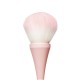 r-BRUSH 100